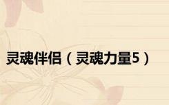 灵魂伴侣（灵魂力量5）