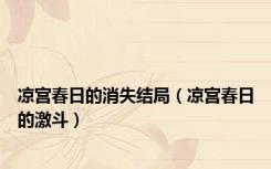 凉宫春日的消失结局（凉宫春日的激斗）