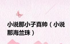 小说那小子真帅（小说那海兰珠）