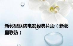 新邻里联防电影经典片段（新邻里联防）