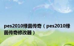 pes2010绿茵传奇（pes2010绿茵传奇修改器）