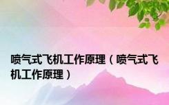 喷气式飞机工作原理（喷气式飞机工作原理）