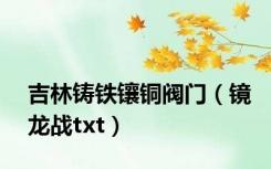 吉林铸铁镶铜阀门（镜龙战txt）