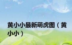黄小小最新萌虎图（黄小小）