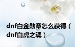 dnf白金勋章怎么获得（dnf白虎之魂）