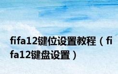 fifa12键位设置教程（fifa12键盘设置）
