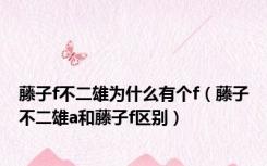 藤子f不二雄为什么有个f（藤子不二雄a和藤子f区别）