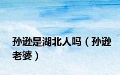 孙逊是湖北人吗（孙逊老婆）