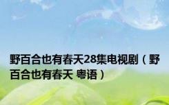 野百合也有春天28集电视剧（野百合也有春天 粤语）