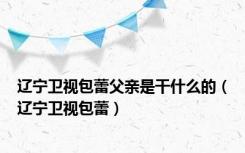 辽宁卫视包蕾父亲是干什么的（辽宁卫视包蕾）