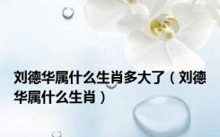 刘德华属什么生肖多大了（刘德华属什么生肖）