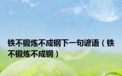 铁不锻炼不成钢下一句谚语（铁不锻炼不成钢）
