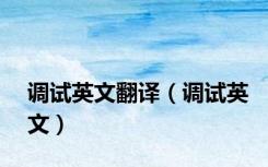 调试英文翻译（调试英文）