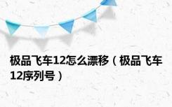 极品飞车12怎么漂移（极品飞车12序列号）