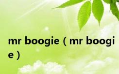mr boogie（mr boogie）