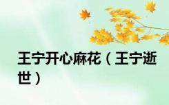 王宁开心麻花（王宁逝世）