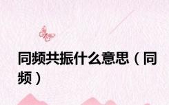 同频共振什么意思（同频）
