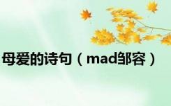 母爱的诗句（mad邹容）