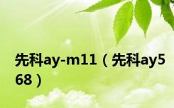 先科ay-m11（先科ay568）