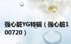 强心脏YG特辑（强心脏100720）
