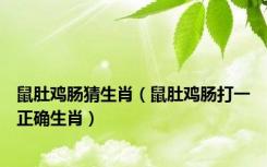 鼠肚鸡肠猜生肖（鼠肚鸡肠打一正确生肖）