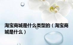 淘宝商城是什么类型的（淘宝商城是什么）