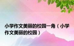 小学作文美丽的校园一角（小学作文美丽的校园）