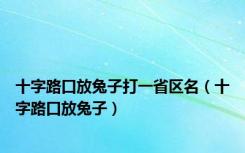 十字路口放兔子打一省区名（十字路口放兔子）