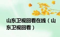 山东卫视回看在线（山东卫视回看）