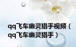 qq飞车幽灵猎手视频（qq飞车幽灵猎手）