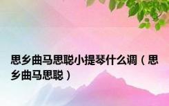 思乡曲马思聪小提琴什么调（思乡曲马思聪）