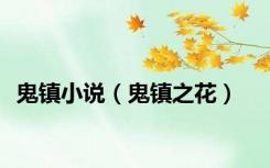 鬼镇小说（鬼镇之花）