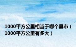 1000平方公里相当于哪个县市（1000平方公里有多大）