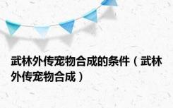 武林外传宠物合成的条件（武林外传宠物合成）