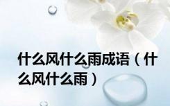 什么风什么雨成语（什么风什么雨）