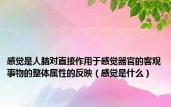 感觉是人脑对直接作用于感觉器官的客观事物的整体属性的反映（感觉是什么）