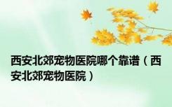 西安北郊宠物医院哪个靠谱（西安北郊宠物医院）