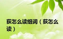 荻怎么读组词（荻怎么读）