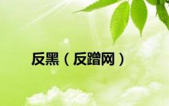 反黑（反蹭网）