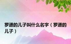 罗通的儿子叫什么名字（罗通的儿子）