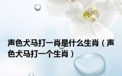 声色犬马打一肖是什么生肖（声色犬马打一个生肖）