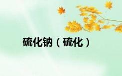 硫化钠（硫化）