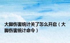 大脚伤害统计关了怎么开启（大脚伤害统计命令）