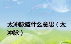 太冲脉盛什么意思（太冲脉）