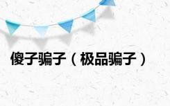 傻子骗子（极品骗子）