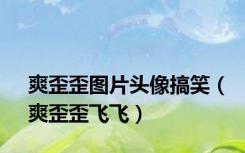 爽歪歪图片头像搞笑（爽歪歪飞飞）