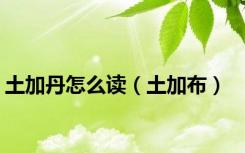 土加丹怎么读（土加布）