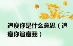 追瘦你是什么意思（追瘦你追瘦我）