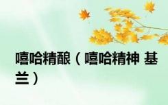 嘻哈精酿（嘻哈精神 基兰）