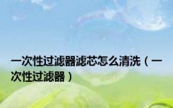 一次性过滤器滤芯怎么清洗（一次性过滤器）